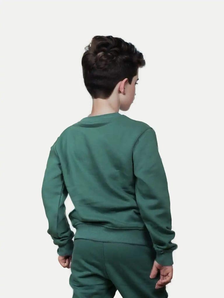 Boys Basic Green Sweatshirt view 4
