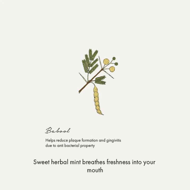 Botanical Sea Salt and Spearmint Toothpaste (100 gm) view 5