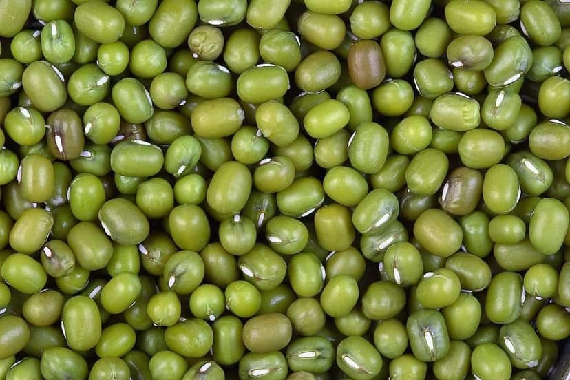 Moong Whole view 3