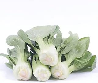 White Pak Choi 1 Pack