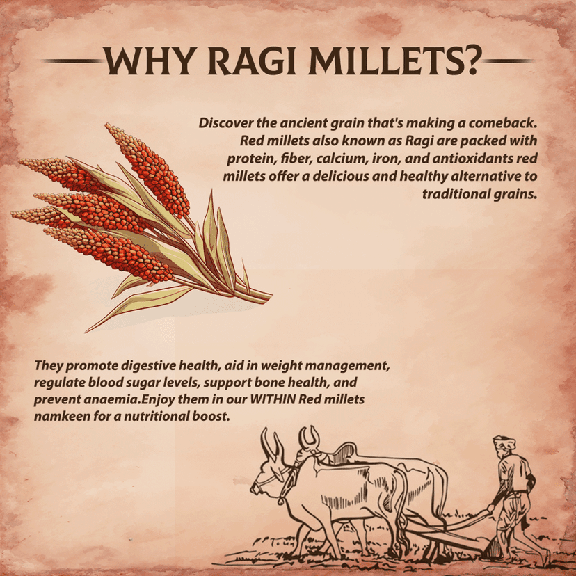 Red Millet Namkeen view 6