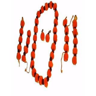 Ramayan Meera Vanvasi Mala Artificial Jewellery Set