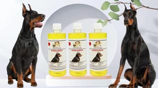 Swacch Shampoo Specially Formulated for Doberman (500ml) (Combo Pack of 3) Lemon
