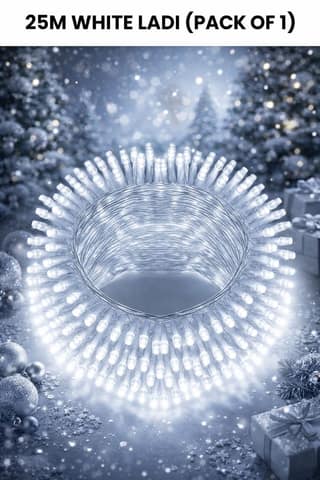 SPARKWORLD 25 Meter White Rice Lights with 74 LEDs | Decorative Steady Glow Fairy Lights for Home, Festivals & Events (Pack of 1)