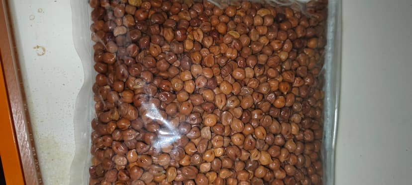 Chana