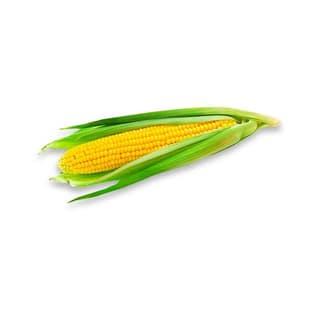 Corn Cob Bhutta 1 Pc