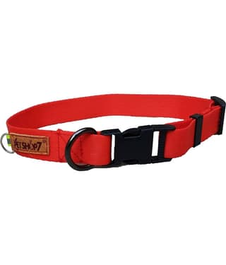 Petshop7 - Orange Collar ( Small )
