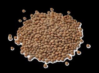 HM (masoor) dana 500g