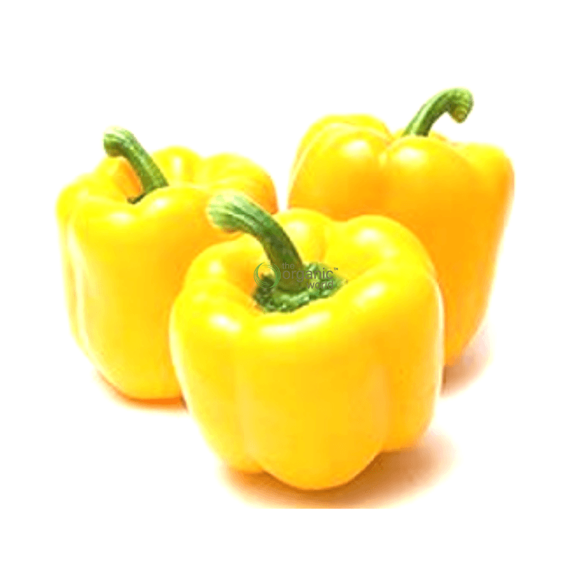 SS CAPSICUM YELLOW