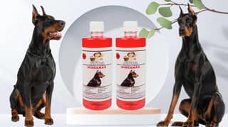 Swacch Shampoo Specially Formulated for Doberman (500ML) (Combo Pack of 2) Strawberry