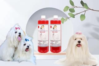 Shampoo Specially Formulated for Strawberry (Maltese 2 Litre)