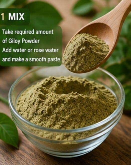 SHUSHRAJ JAIVIK Giloy Powder 100G – Pure & Natural Giloy Herbal Powder. view 8