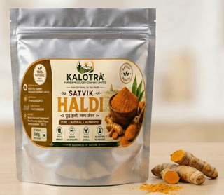 KALOTRA Satvik Haldi Powder, 500g