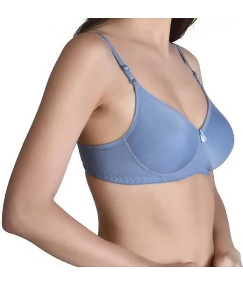 EASTERN CLUB Pack of 2 Cotton Blend Lightly Padded T-Shirt Bra For Women ( Multicolor 3 ) view 2