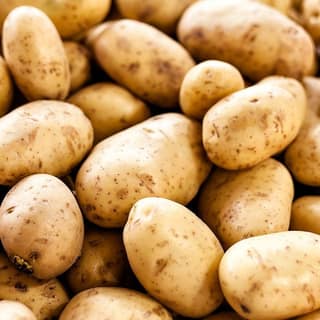 Fresh Potatoes - 50 kg - One sack of potatoes