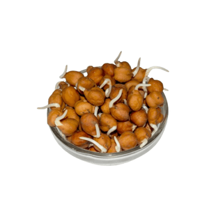 Agrify Fresh Sprouts - Brown Chana 200 Gms