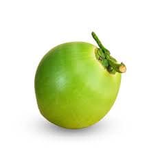 Tender coconut 1pc view 2
