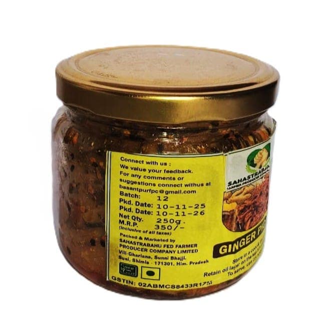 Ginger Pickle view 3