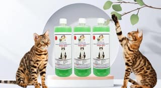 SWACCH Shampoo Specially FORMULATED for Indian Billi (1 Litre) (Pack of 3) NEEM ALOVERA