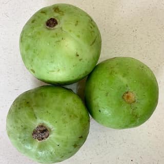 Tinda 250 gms