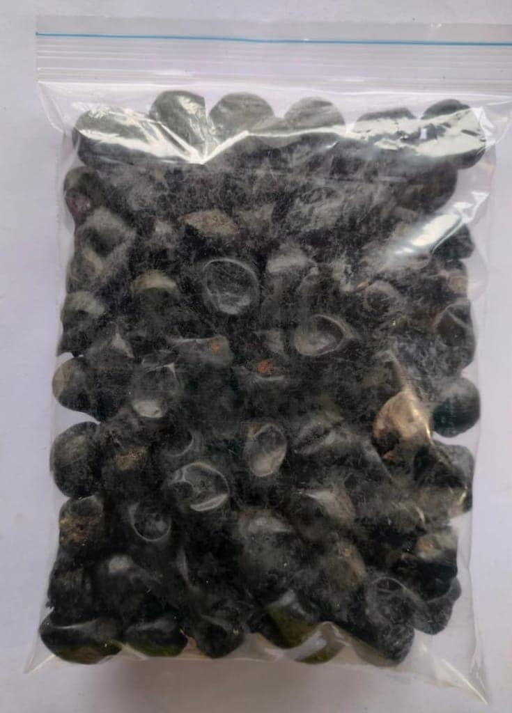 Jujubes fruit,Dry Kul, Boroi view 3