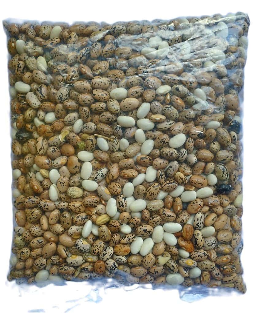 RAJMA SMALL (KIDNEY BEANS) view 4