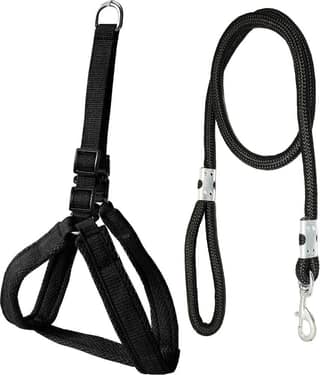 Petshop7 Mesh Padded Nylon Dog Harness & Leash Rope - Medium (Chest Size - 26-37inch)