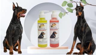 SWACCH Premium Shampoo for Doberman (200ML) (Combo Pack of 2) Lemon & Jasmine