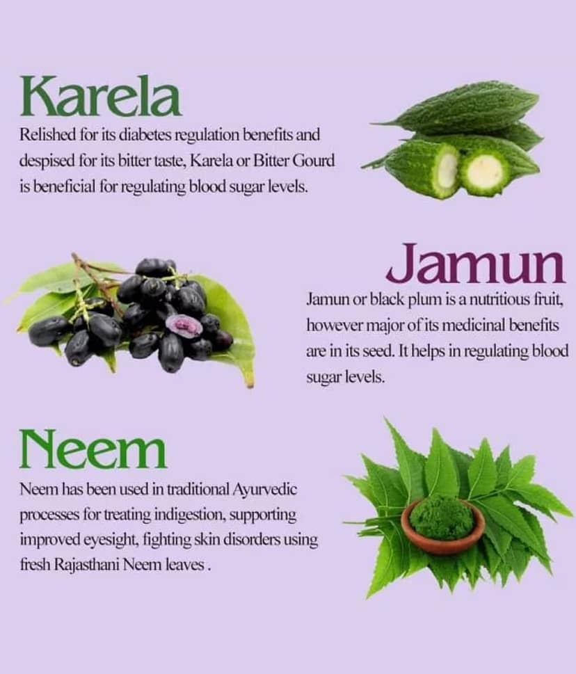 KAYABOOST Neem Karela Jamun Powder - For Maintaining Blood Sugar Levels - Set of 2 (2 x 200 g) view 2