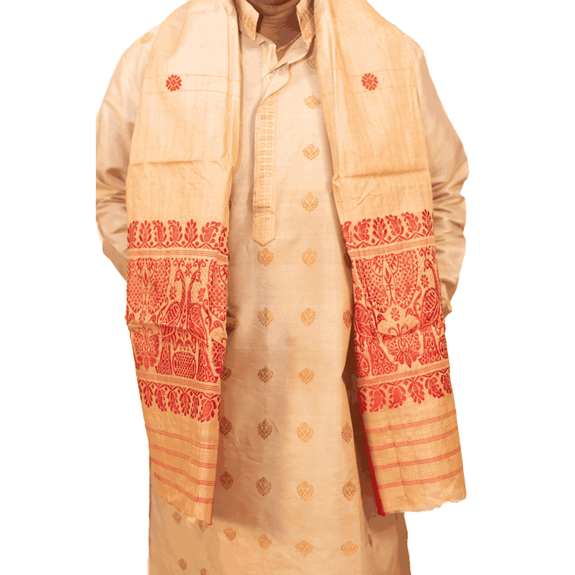 Tussar Silk Gamusa | Assamese Handloom Silk Gamusa view 3