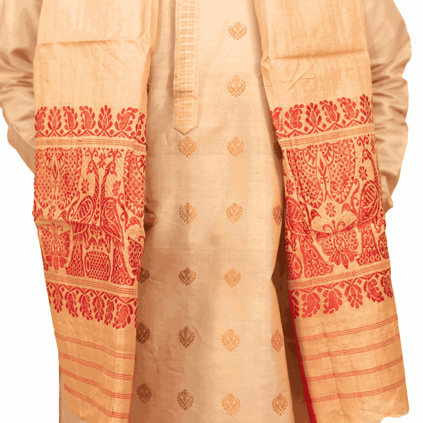 Tussar Silk Gamusa | Assamese Handloom Silk Gamusa view 4