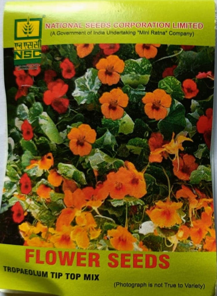NSC Tropaeolum Tip Top Mix Flower Seeds