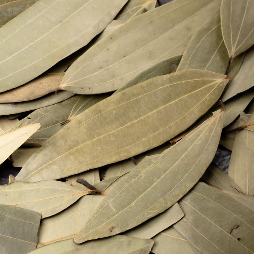 ODM Masala Bay Leaves (Tej Patta) - Whole Aromatic Leaves view 5