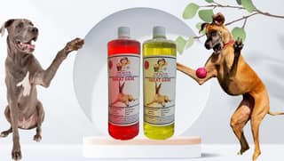 Swacch Shampoo Specially Formulated for Great DANE (1 Litre) (Combo Pack of 2) Strawberry & Lemon