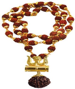 CGED Rudraksha Pack of 1