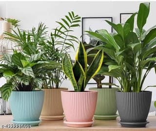 5 pis combo of the plastic round flower pots for home planters terrace garden etc pack of 05 multicolor suitable for home indoor outdoor gardening plants