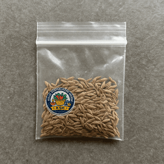 Killo Subhalaxmi House's cumin seeds