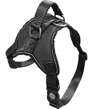 Petshop7 - Black Harness ( X-Small )