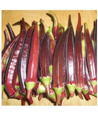 Green India Vegetables Okra/Bhindi Hybrid Seeds - 50 seeds/Pack