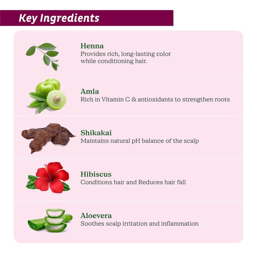 Prem Dulhan Burgundy Henna Hair Color | Herbal Hair Color Powder | Ammonia-Free, Paraben-Free | Long Lasting Grey Coverage | Natural Shine | Pack of 10 Sachets view 7