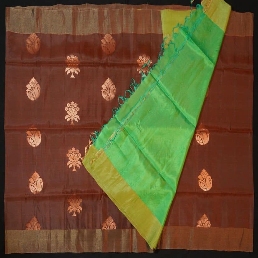 Chocolate Brown Kanchipuram Soft Silk Saree with Green Pallu view 4