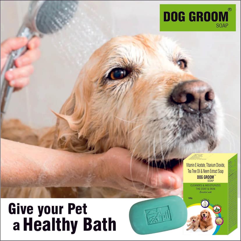 Dog Groom Soap | 100gm | Pack of 2 view 2