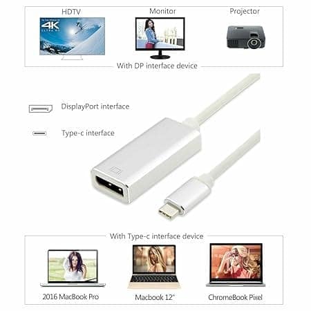 Type C Male to DP Female Converter (Compatible with Mac, Computer, PC, Chromebook, MacBook, Silver, One Cable) view 2