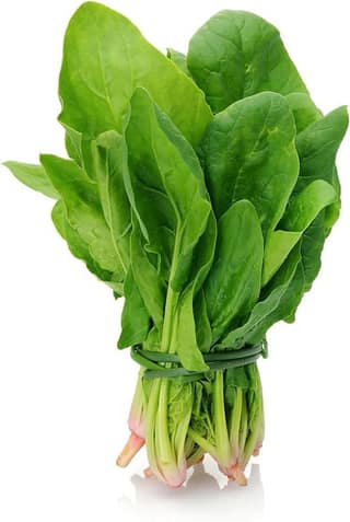 Palak Spinach whole bunch