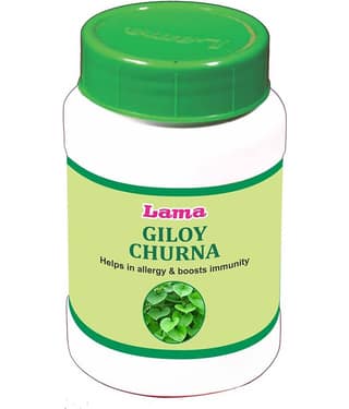 Lama Giloy Churna Powder 100 Gm Pack of 3