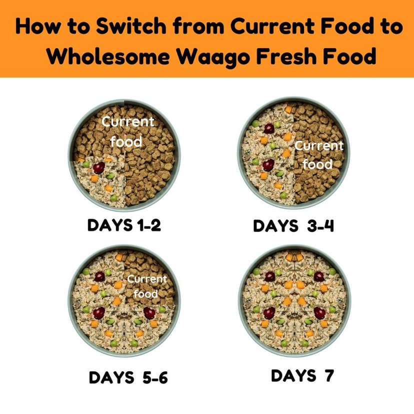 Waago Grain Free Chicken and Vegetables Fresh Food for all Breed Dog 300gm view 3