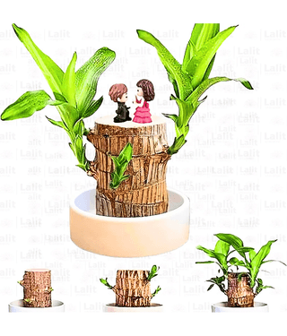 LIXAY - Black Boxwood Artificial Flower ( Pack of 1 )