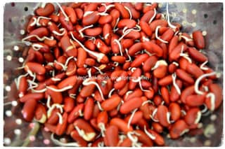Sprout Rajma 200 Gms