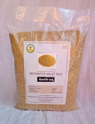 Browntop Millet (pack of 10)