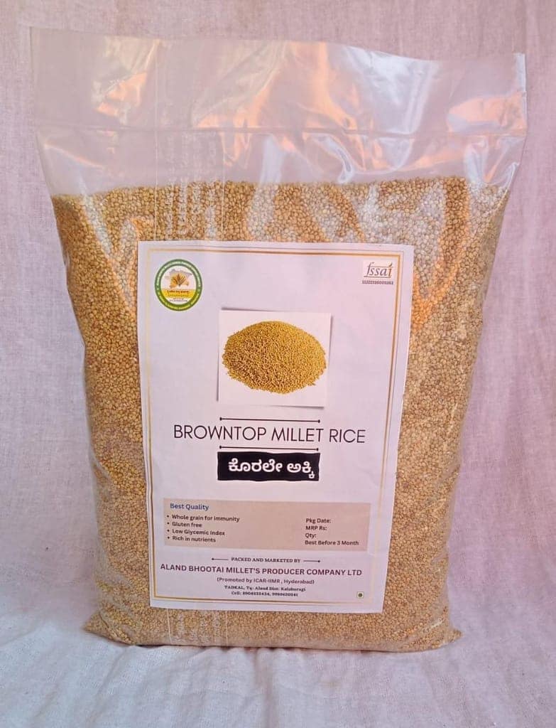 Browntop Millet (pack of 10)